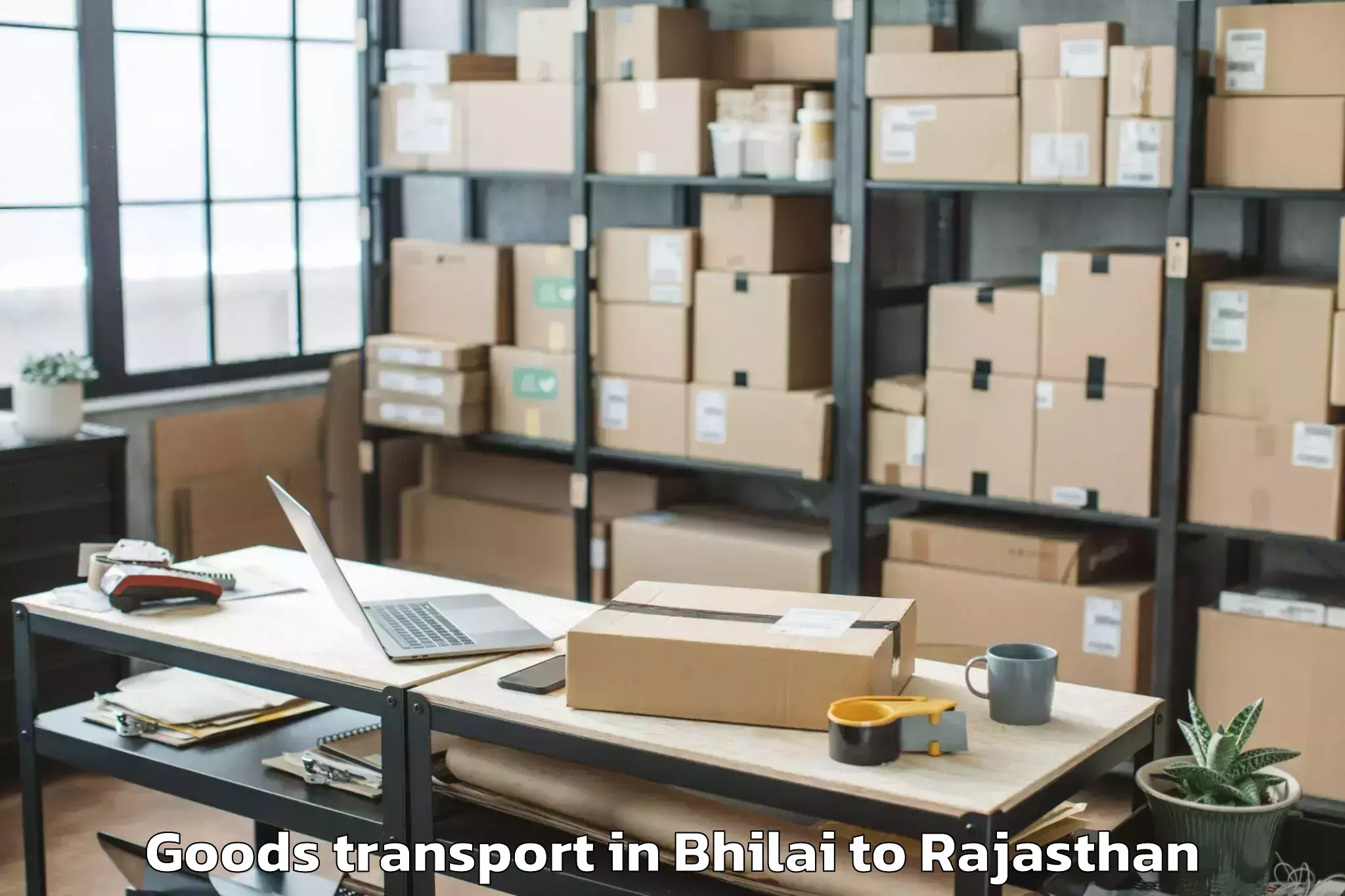 Book Your Bhilai to Phulera Goods Transport Today